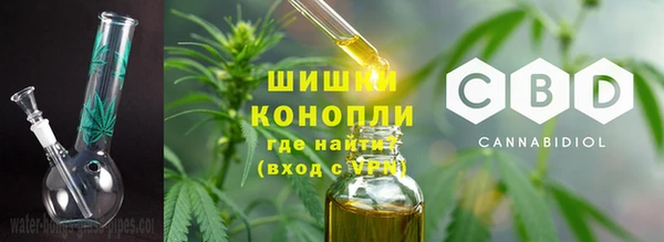 ПСИЛОЦИБИНОВЫЕ ГРИБЫ Лагань