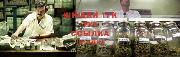 ПСИЛОЦИБИНОВЫЕ ГРИБЫ Лагань
