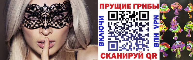 Псилоцибиновые грибы Magic Shrooms  хочу наркоту  Тутаев 