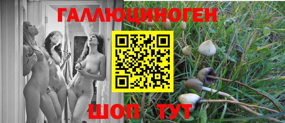 Галлюциногенные грибы ЛСД Тутаев