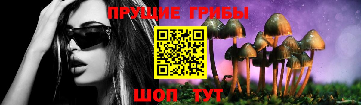 купить наркоту  Вход с VPN  Тутаев  Галлюциногенные грибы GOLDEN TEACHER 
